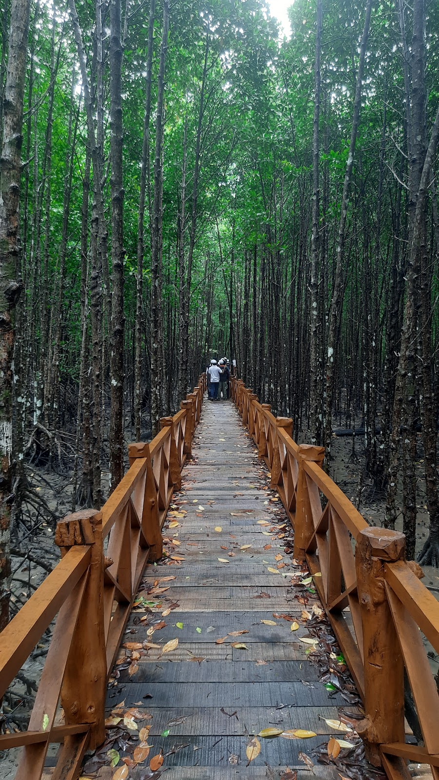 Local Village Cultural Walk