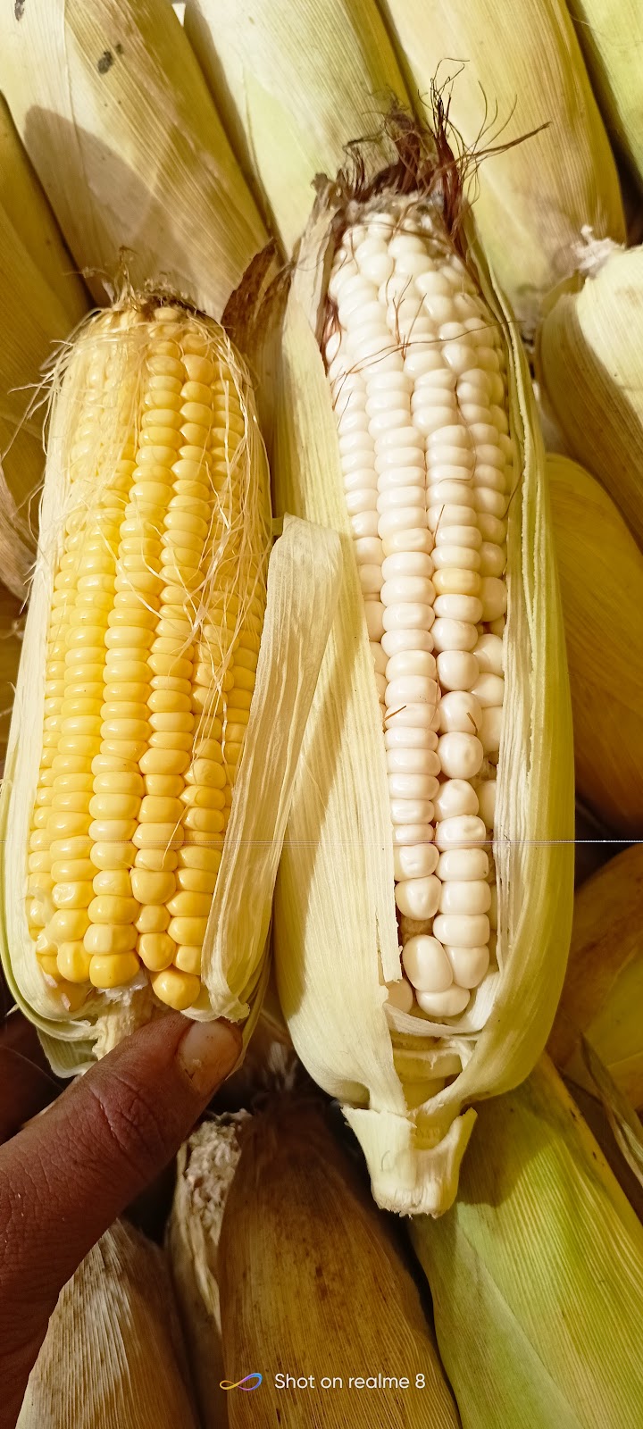 Canacona Saturday Market