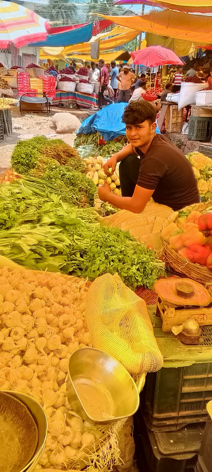 Canacona Saturday Market