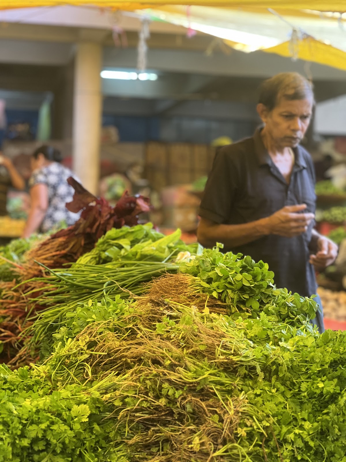 Canacona Saturday Market