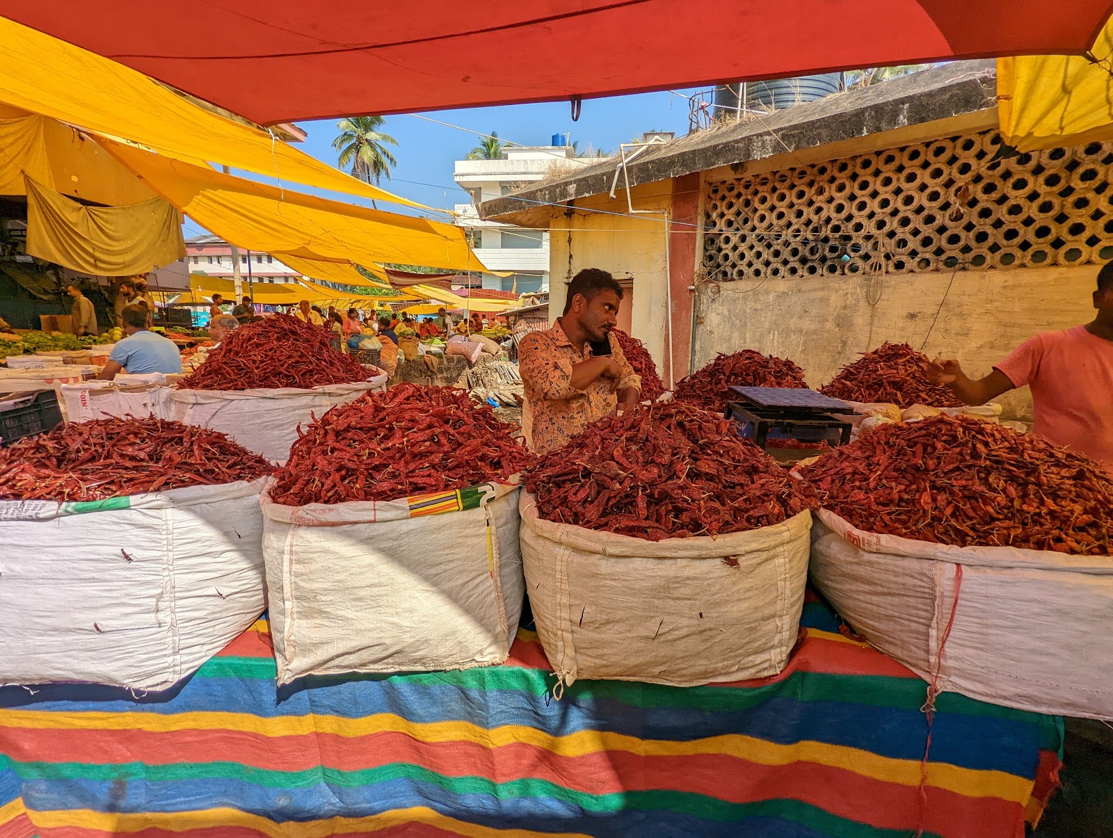 Canacona Saturday Market