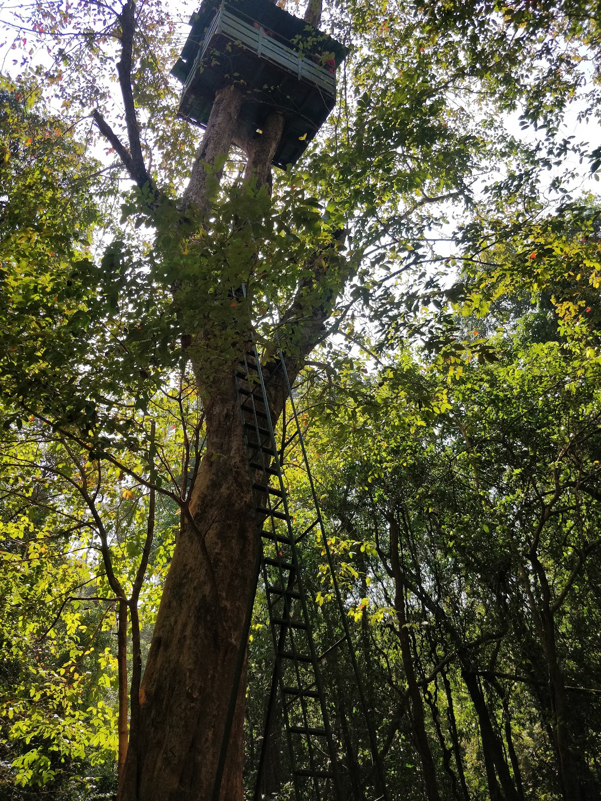 Cotigao Wildlife Sanctuary