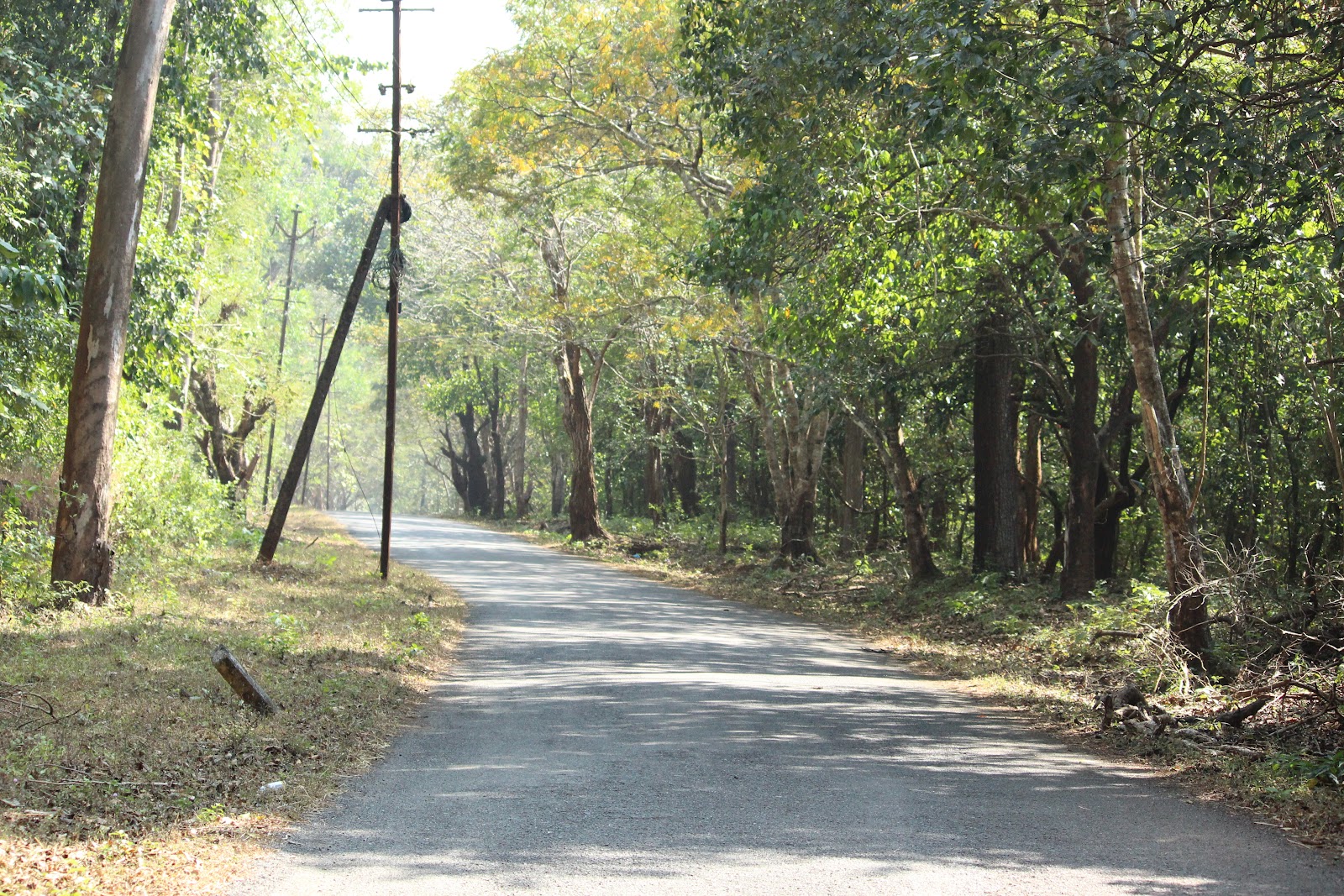 Cotigao Wildlife Sanctuary