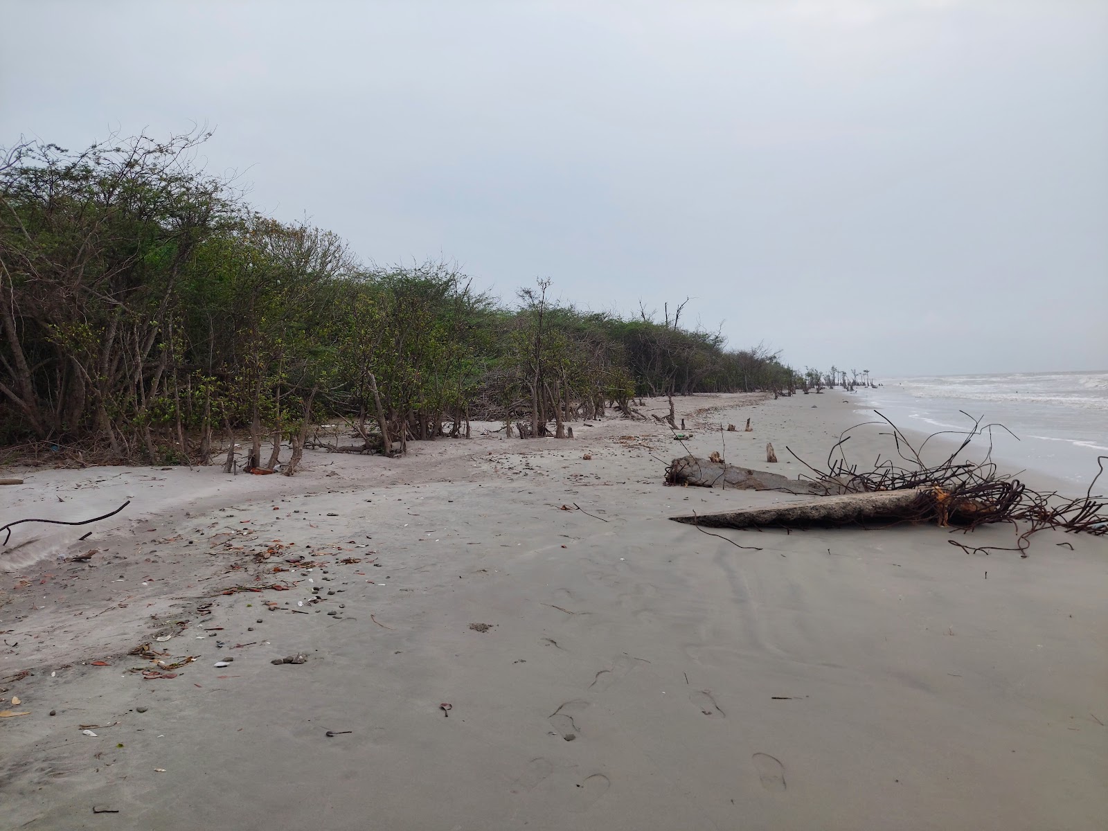 Canning, West Bengal - A Gateway to Nature and Culture