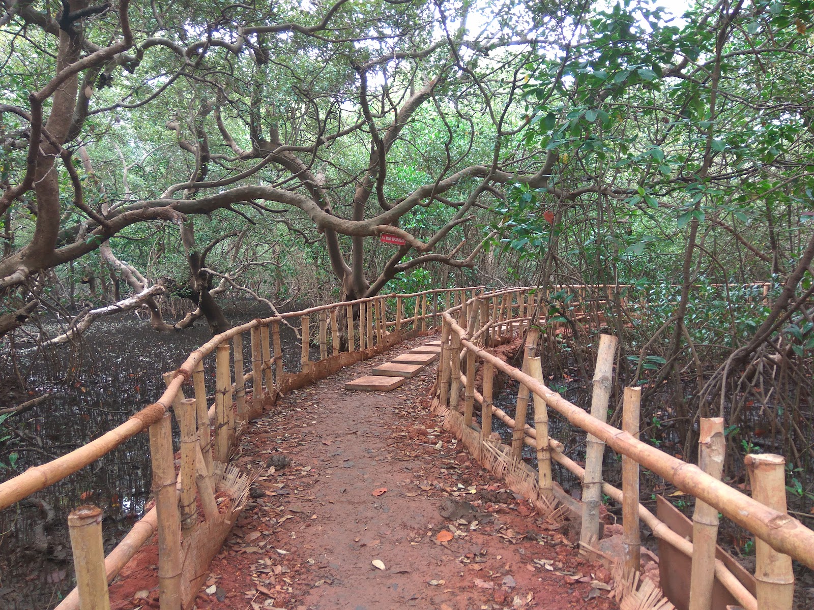 Salim Ali Bird Sanctuary