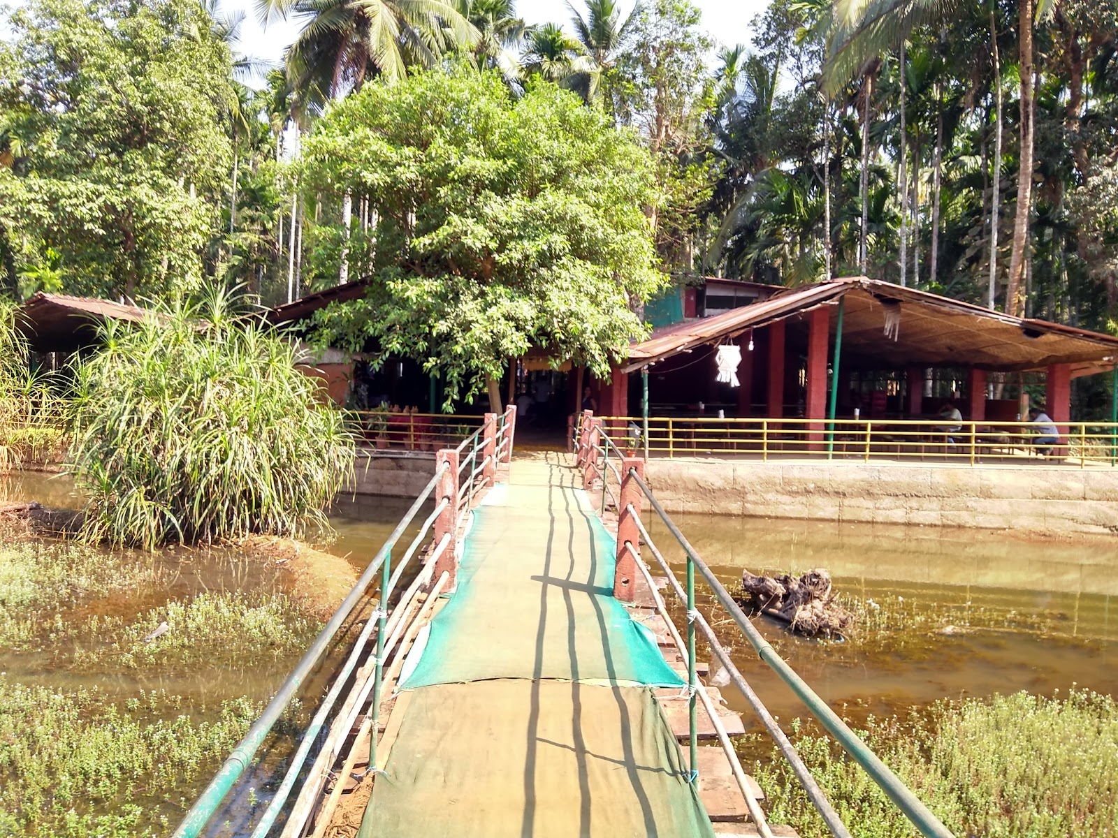 Spice Plantation Tour