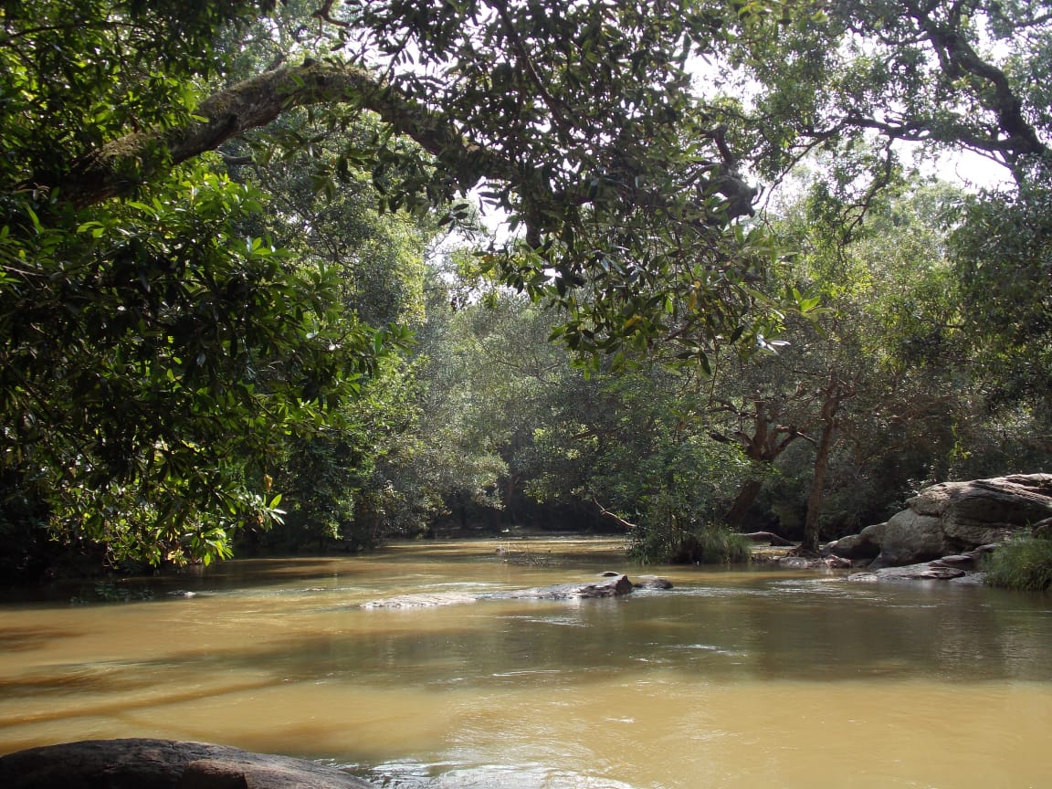 Cauvery Wildlife Sanctuary Main Area