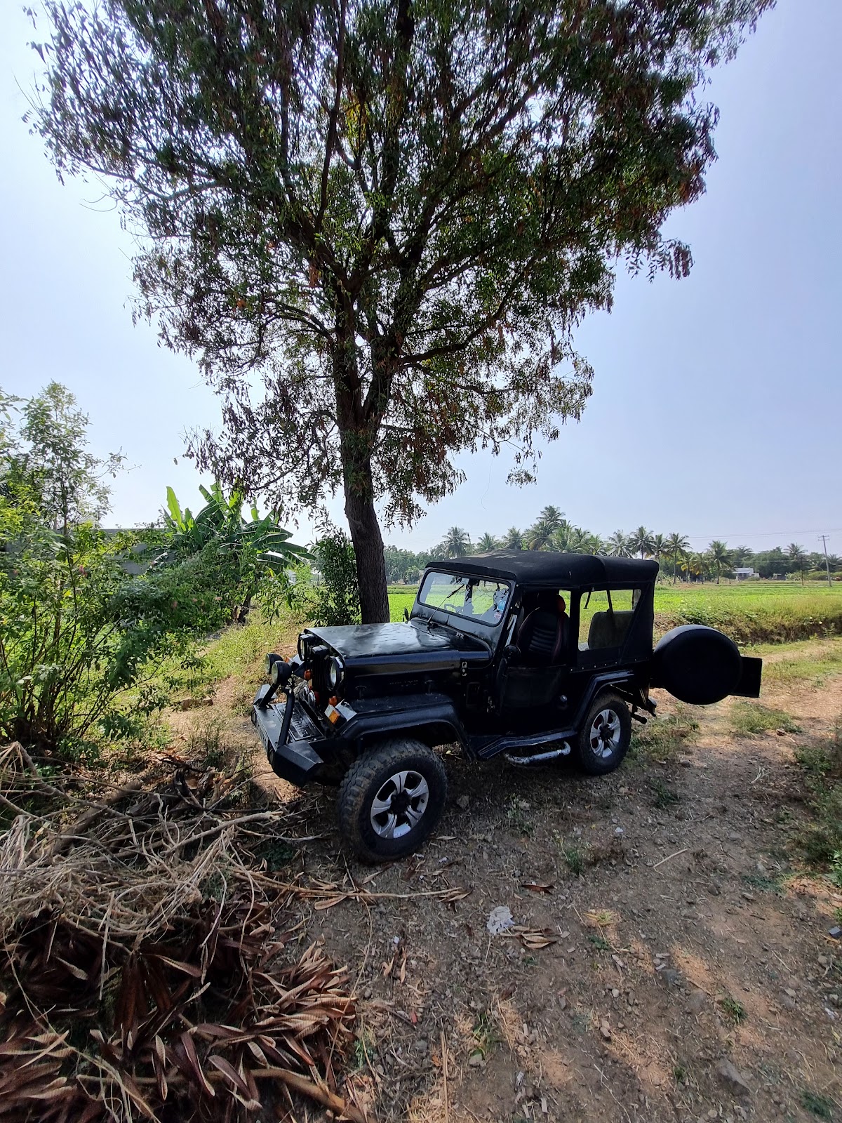 Cauvery Wildlife Sanctuary Main Area