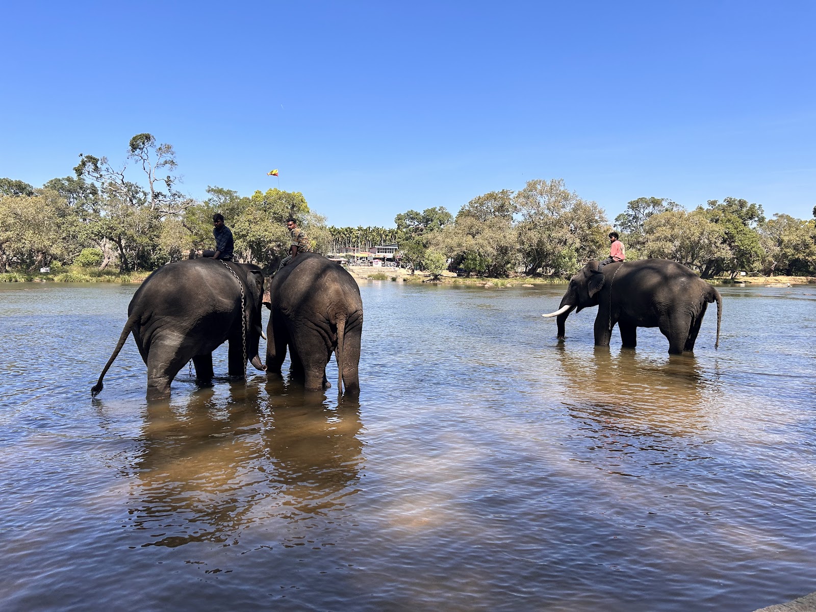 Dubare Elephant Camp