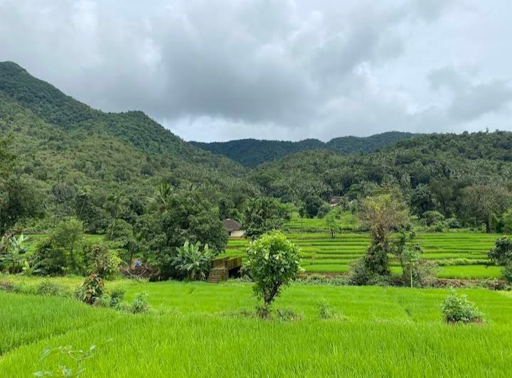 Cotigao Wildlife Sanctuary
