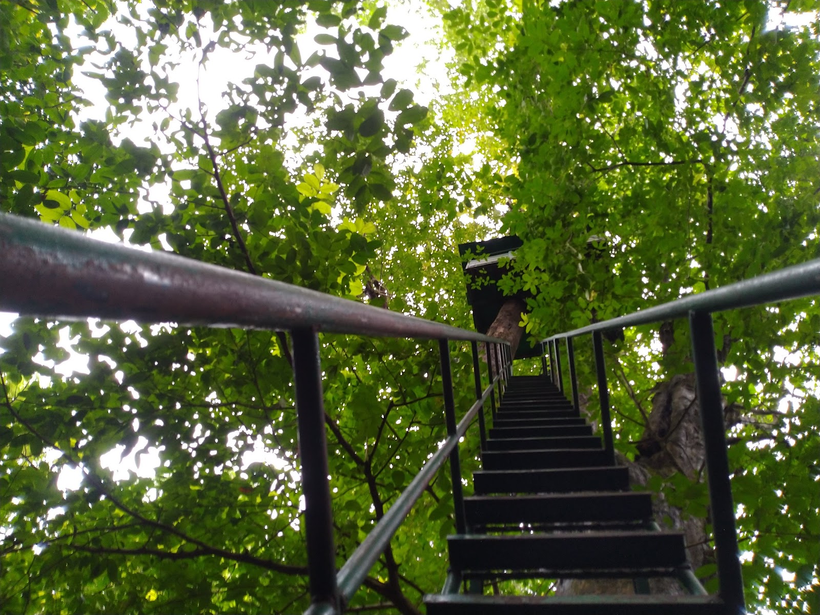 Cotigao Wildlife Sanctuary