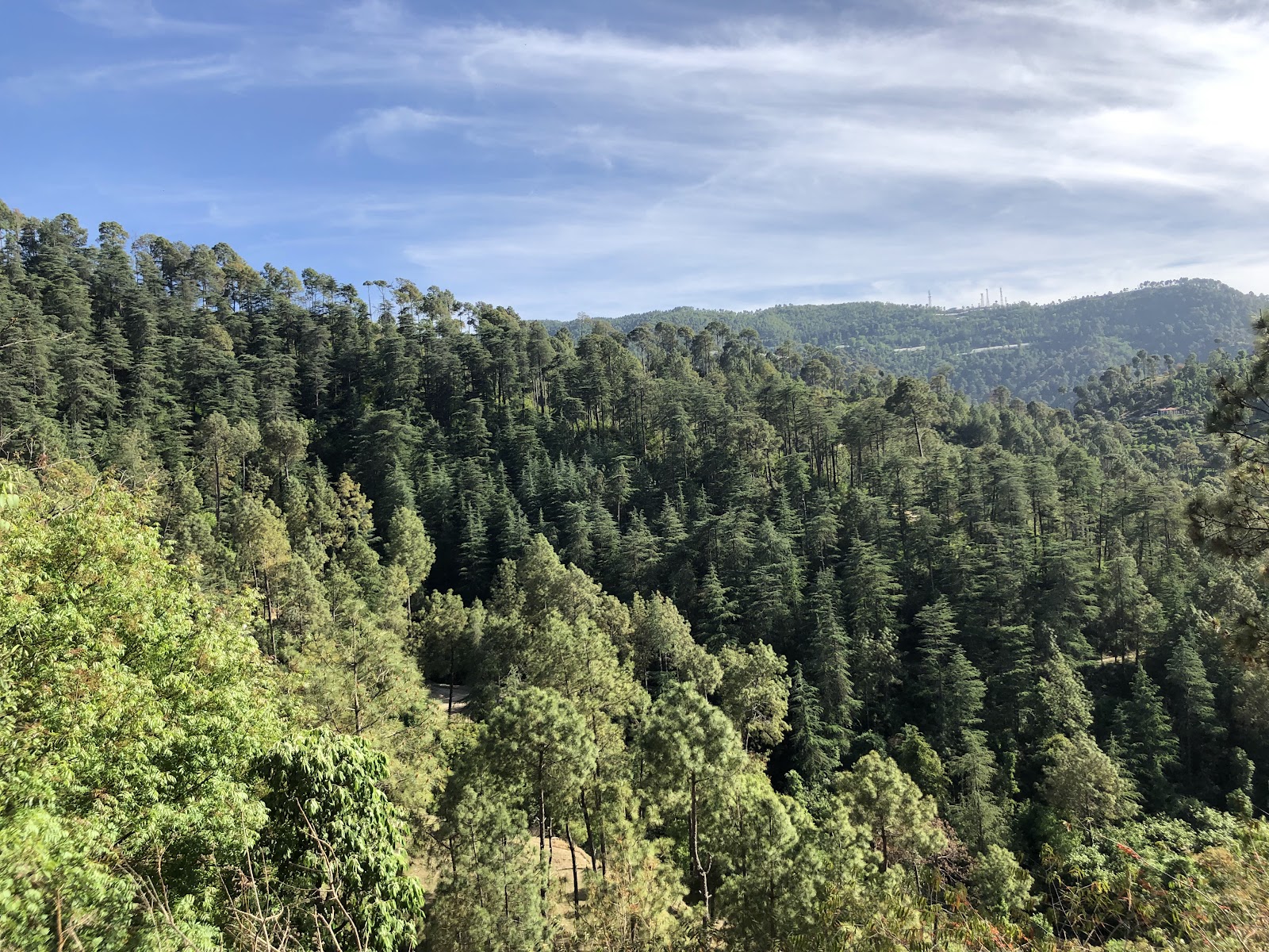Chail Wildlife Sanctuary