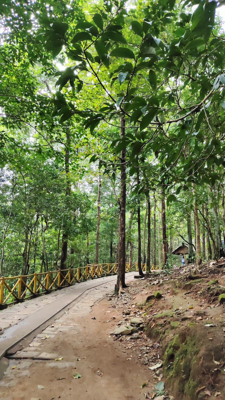 Athirappilly Waterfalls
