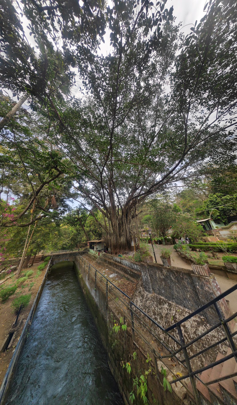 Thumboormuzhi Dam and Garden