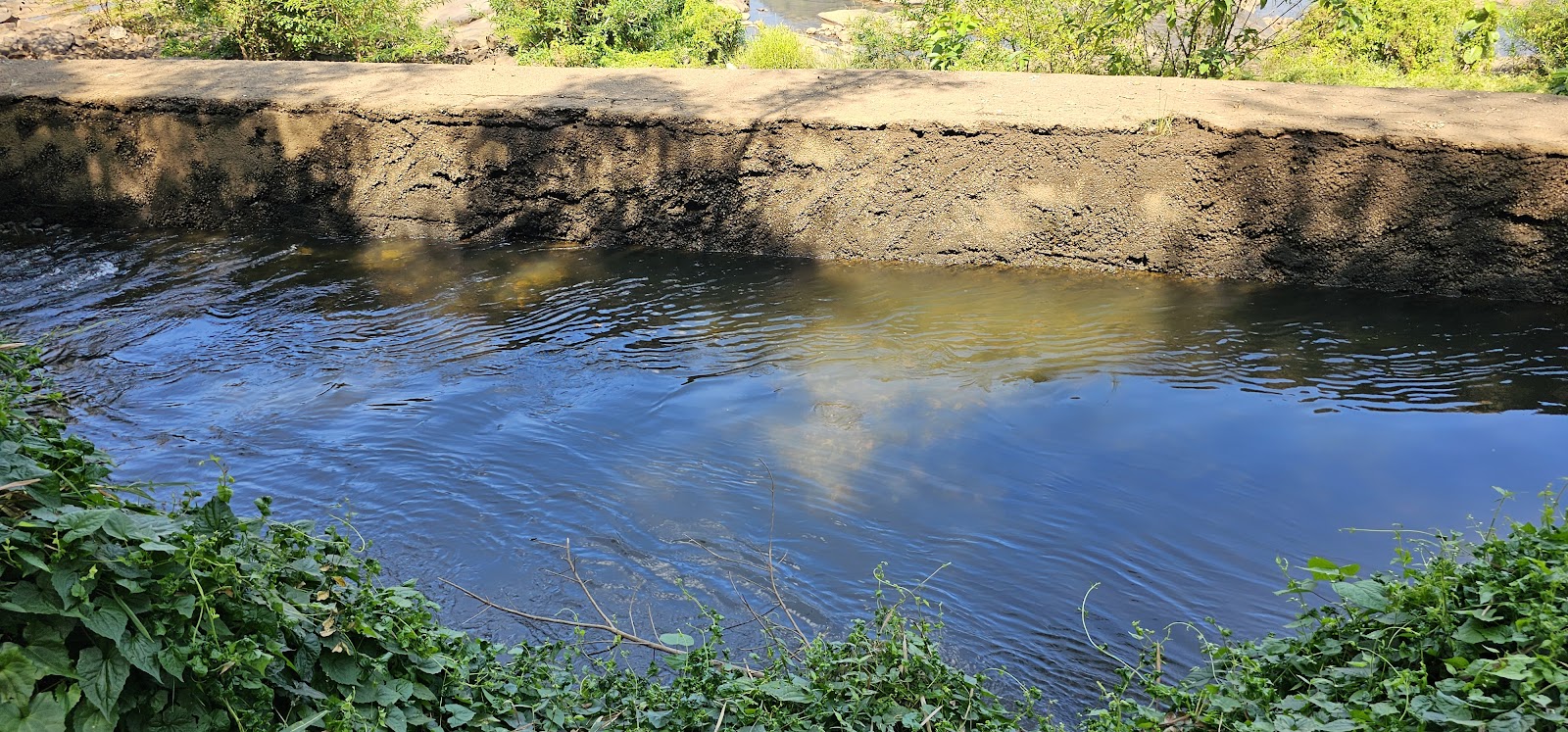Thumboormuzhi Dam and Garden