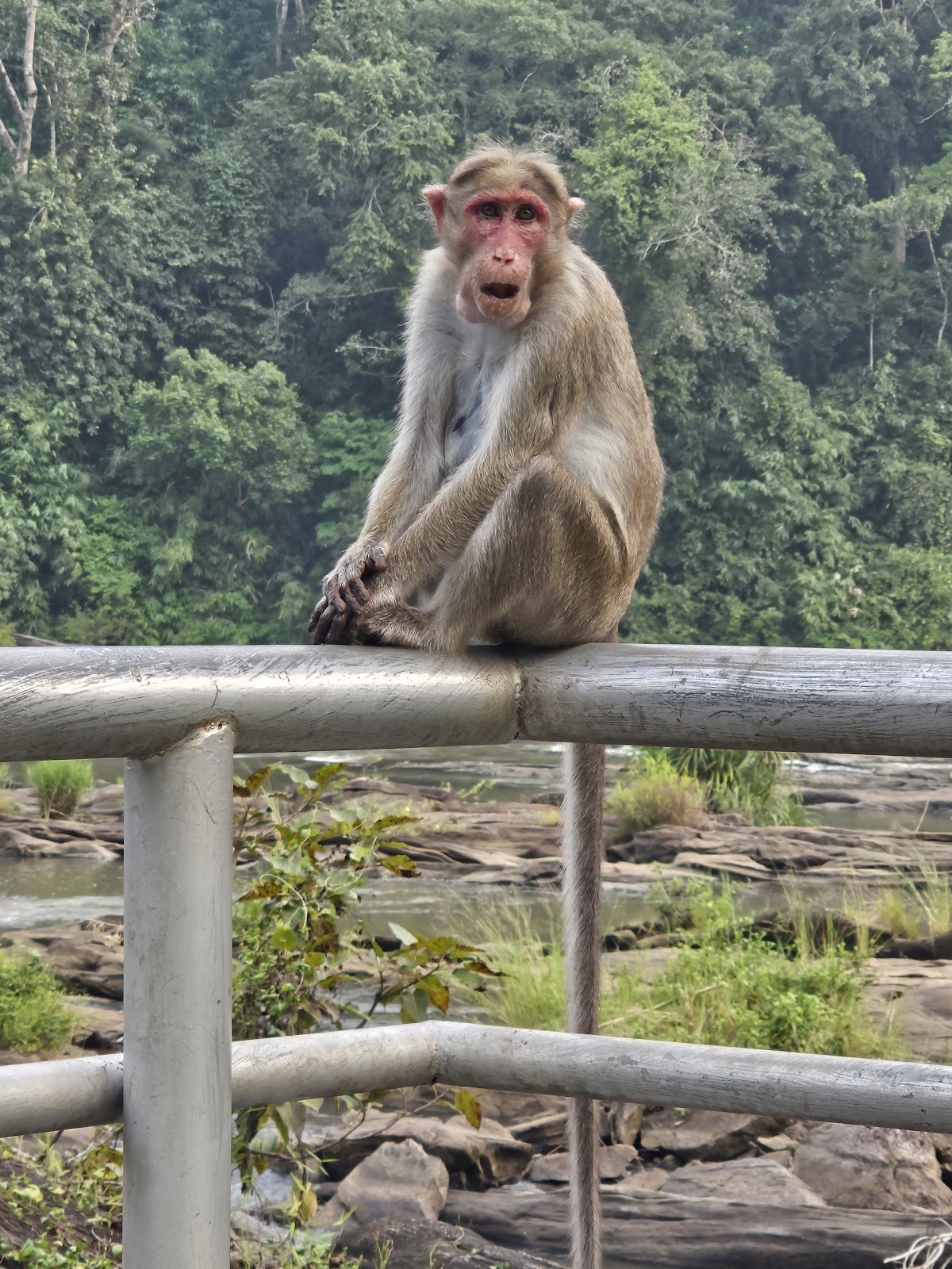 Vazhachal Waterfalls