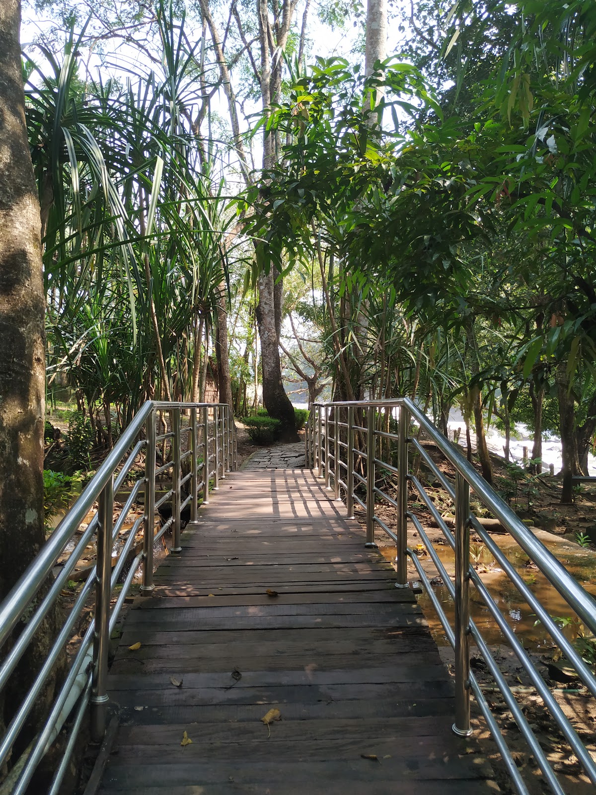 Vazhachal Waterfalls