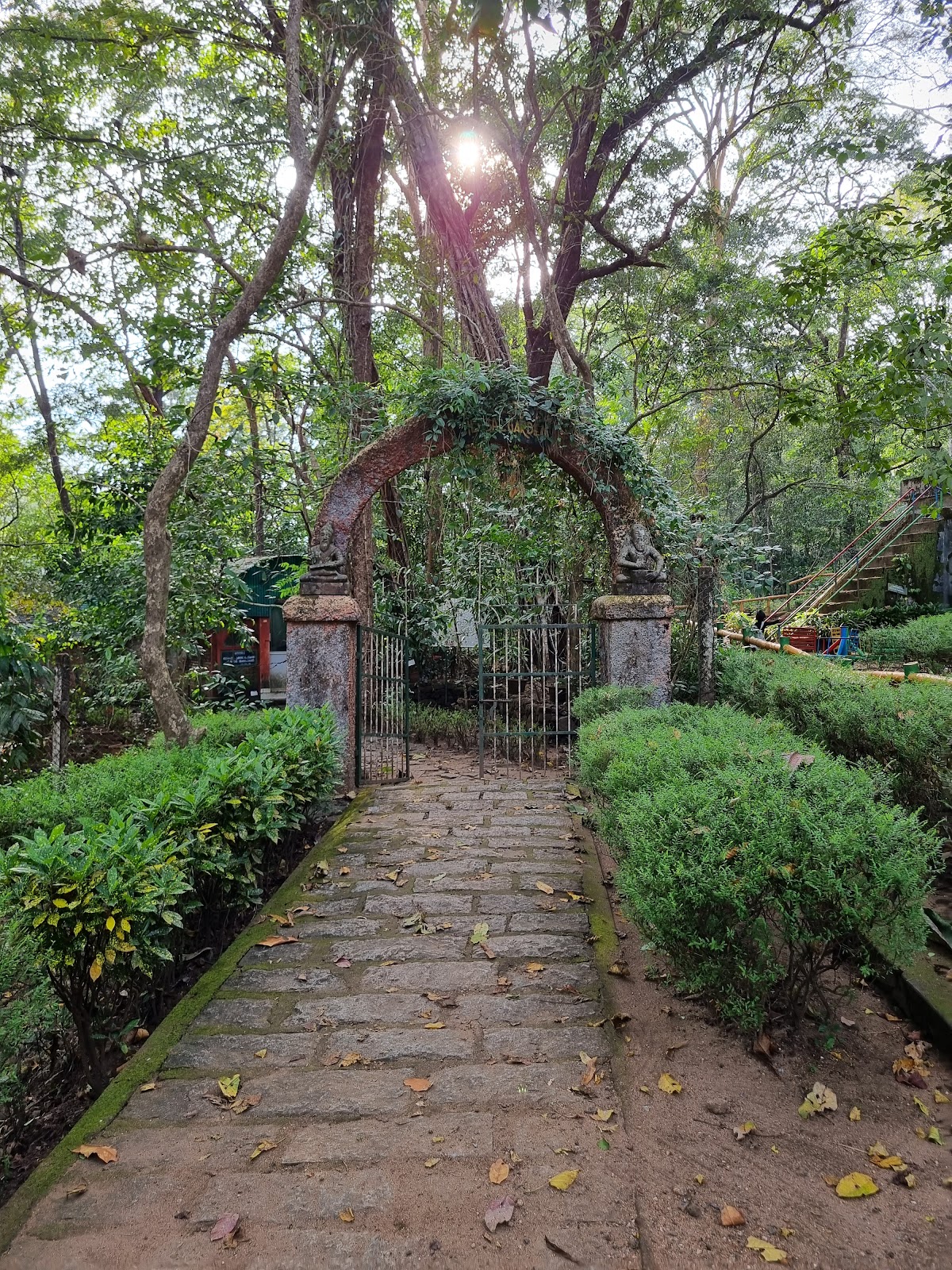 Vazhachal Waterfalls
