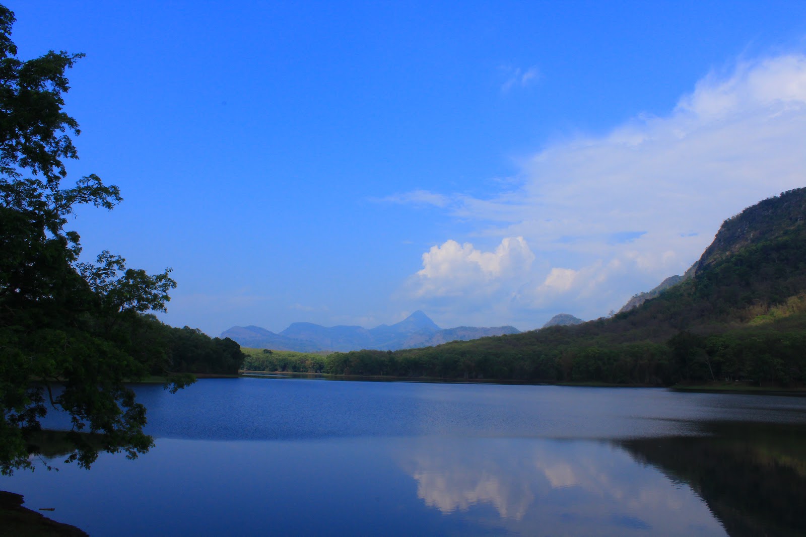 Parambikulam Tiger Reserve