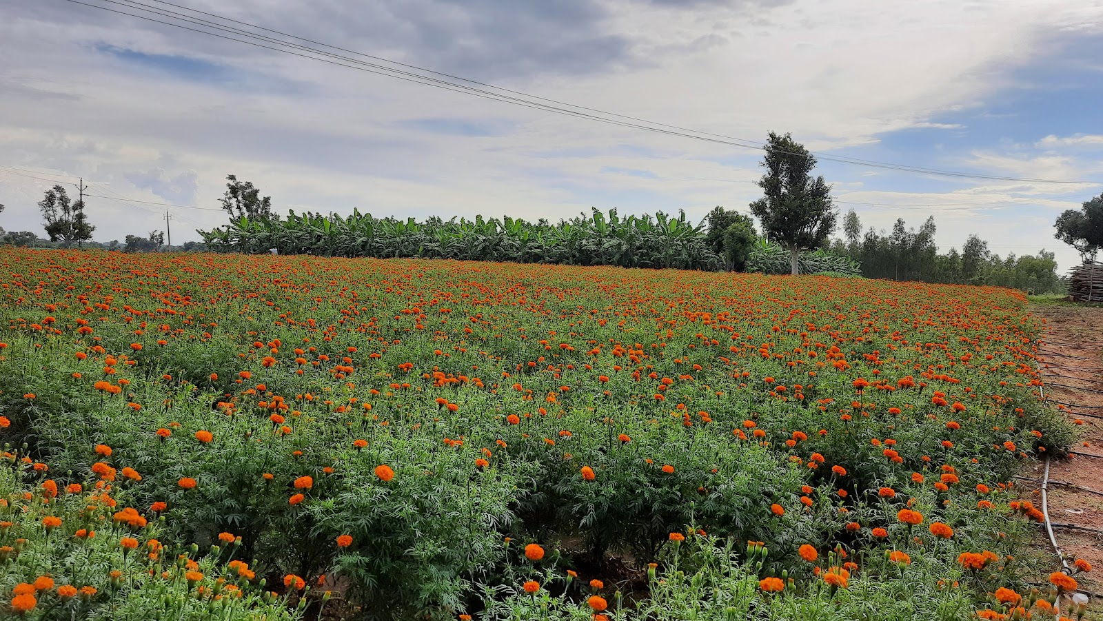 Chamarajanagar Fort Chamarajanagar Karnataka India