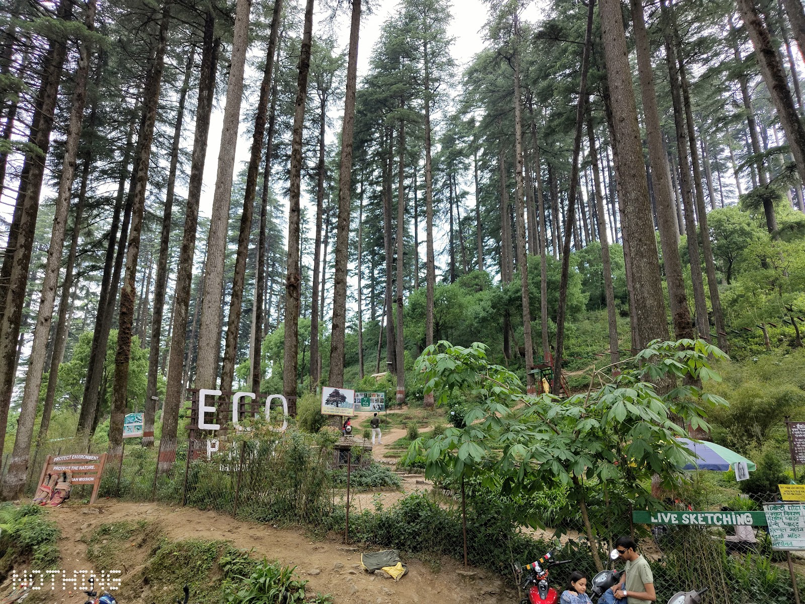 Dhanaulti Eco Park