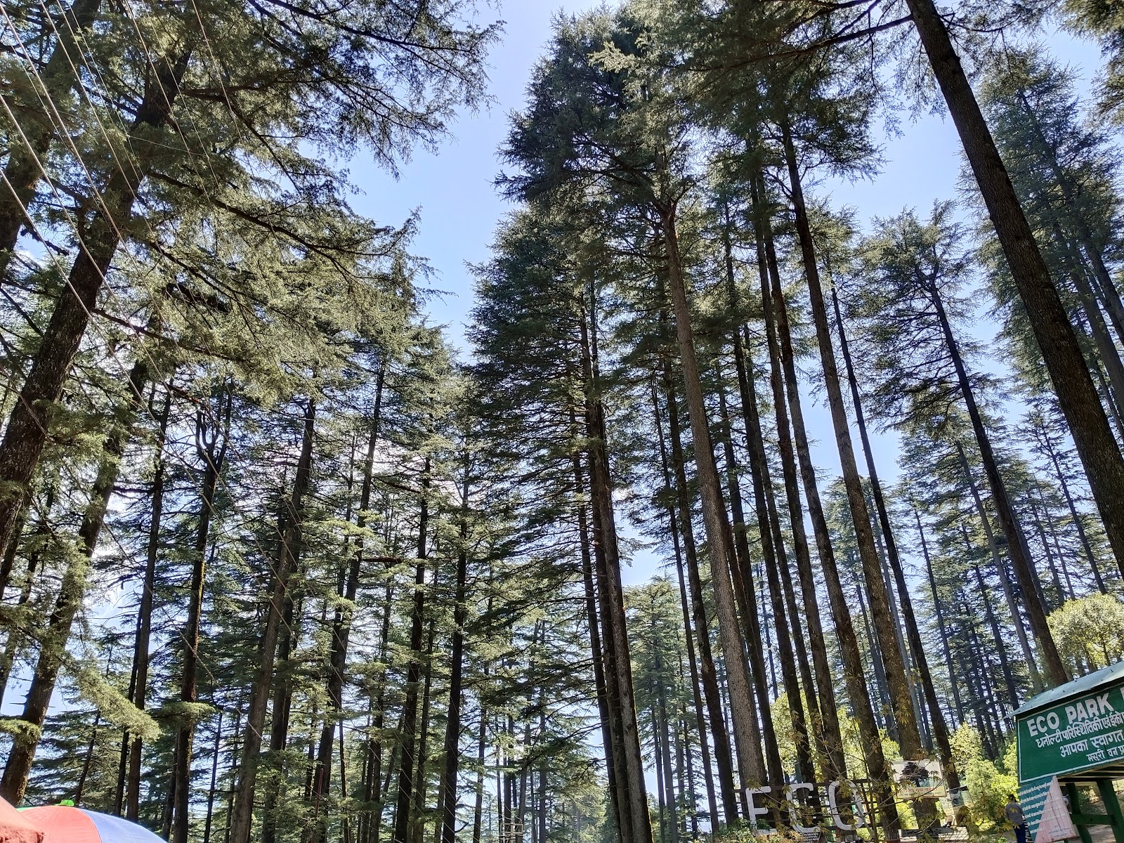 Dhanaulti Eco Park