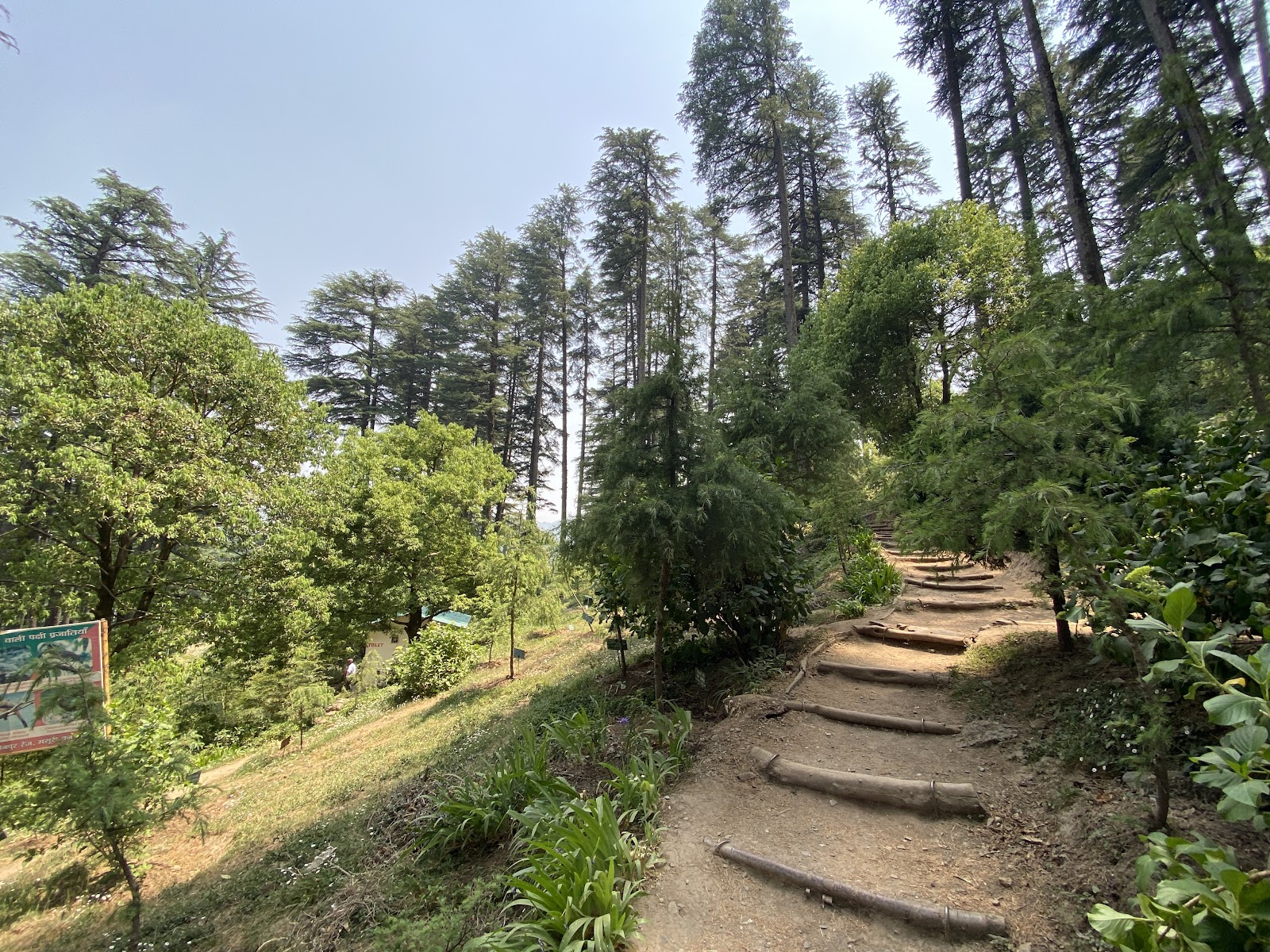 Dhanaulti Eco Park