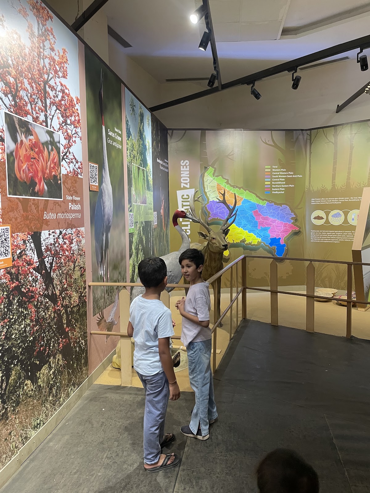 Chambal Interpretation Centre