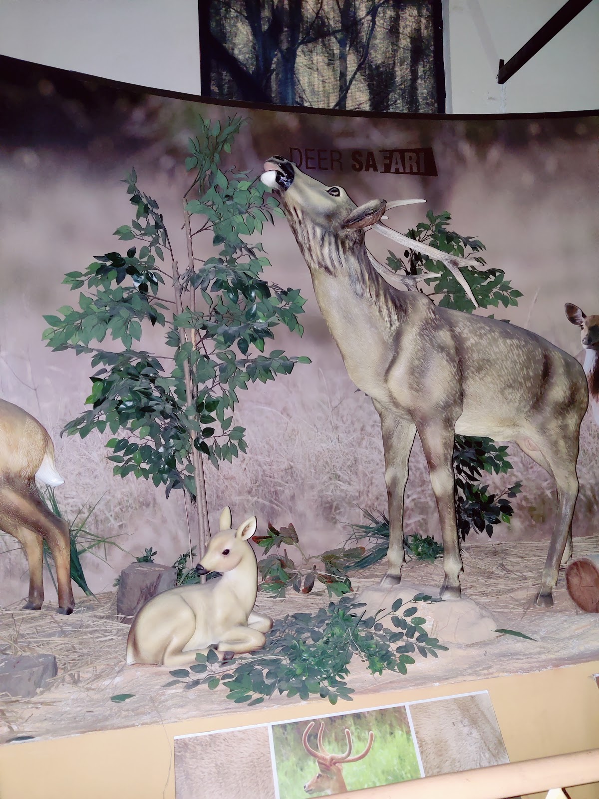 Chambal Interpretation Centre