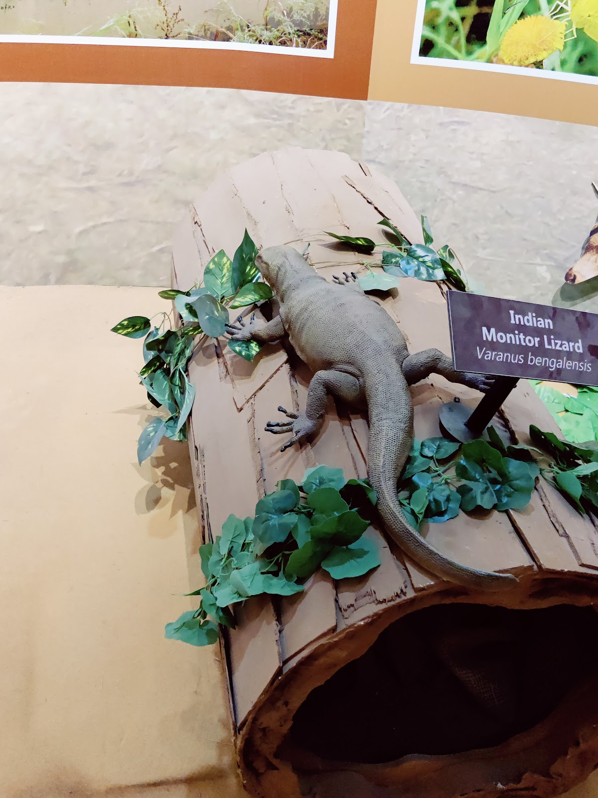 Chambal Interpretation Centre