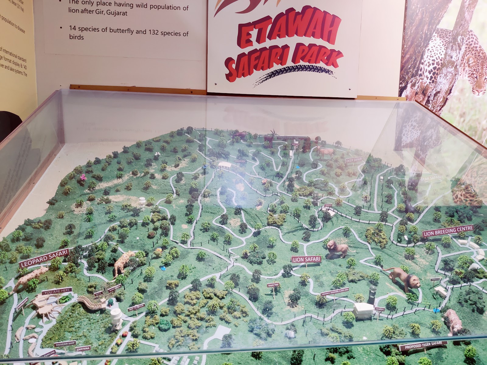 Chambal Interpretation Centre