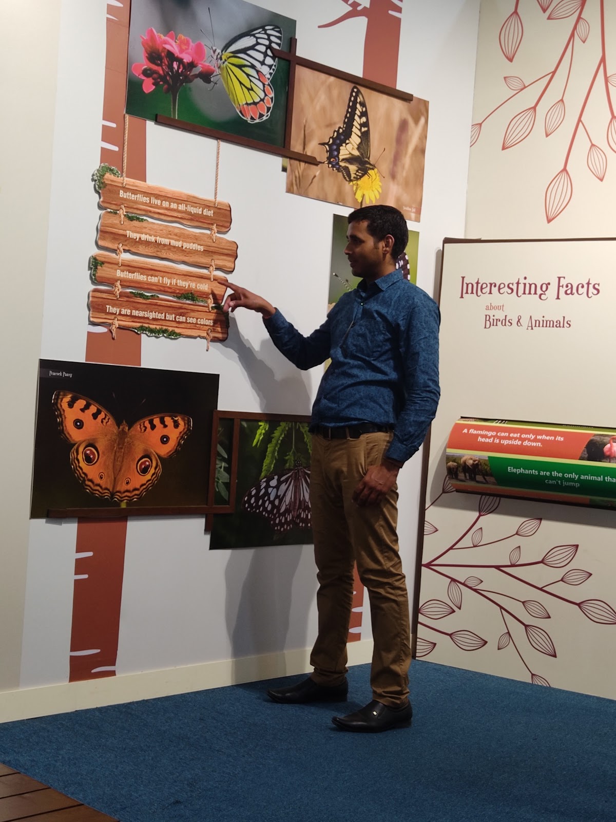 Chambal Interpretation Centre