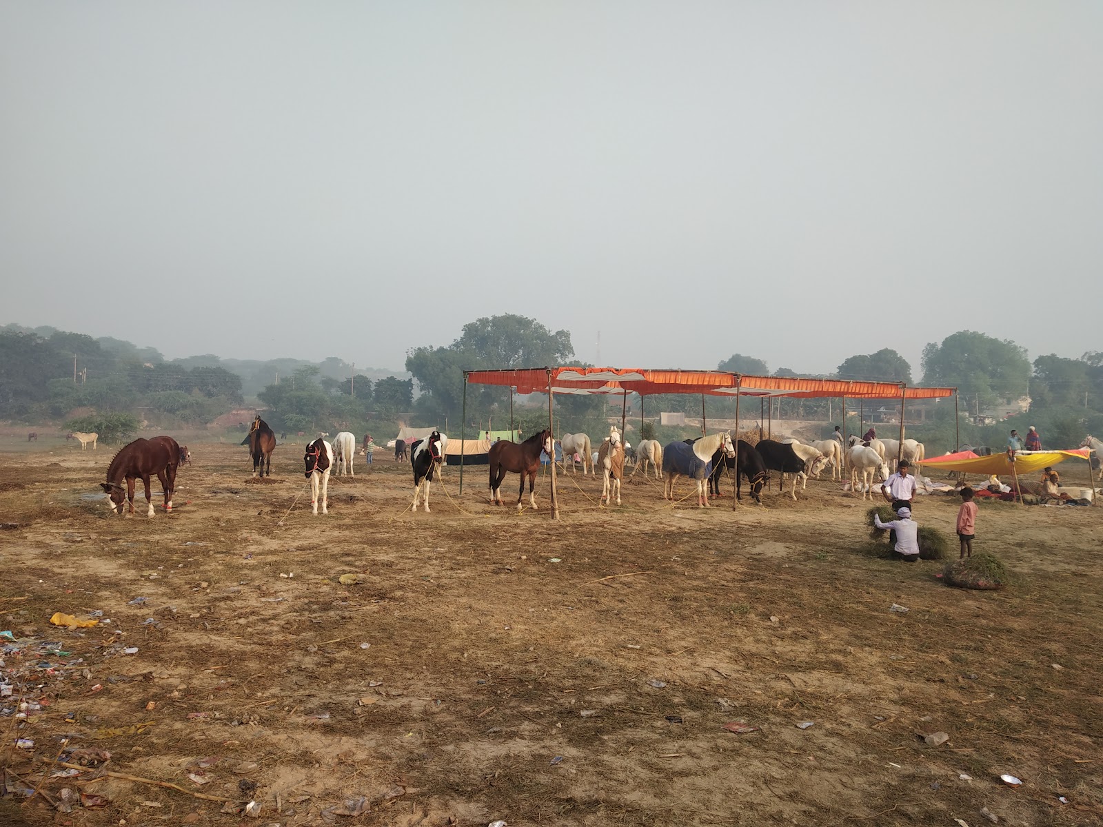 Bateshwar Fair Grounds