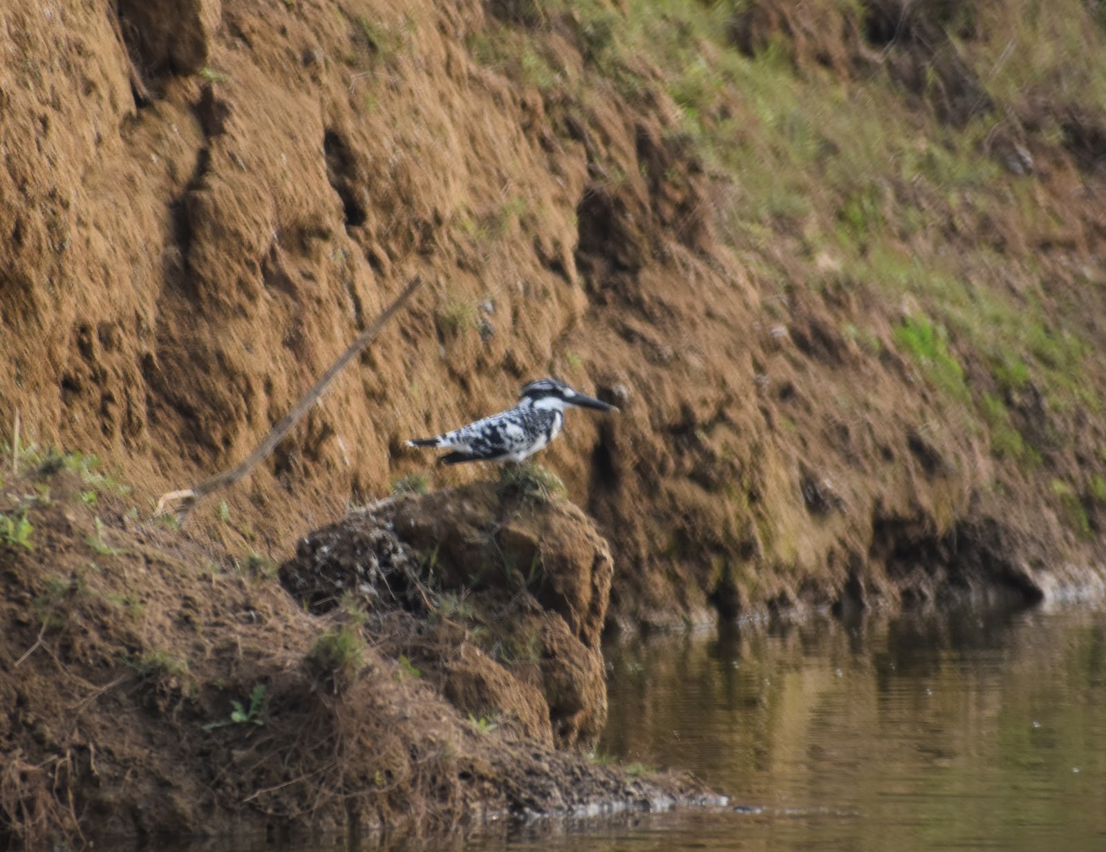 Gharial Conservation Centre