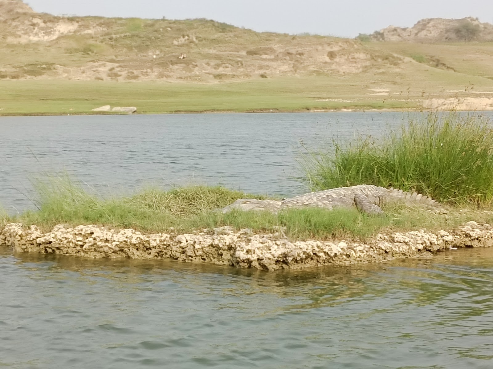 Gharial Conservation Centre