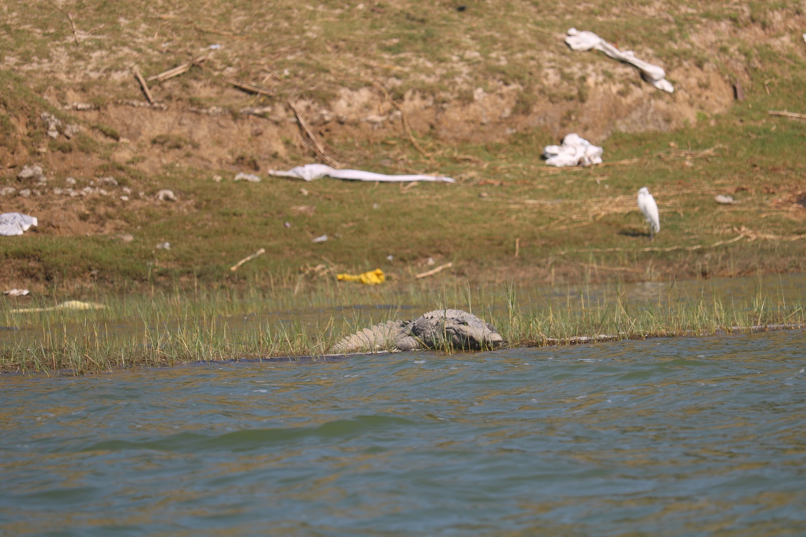 National Chambal Sanctuary