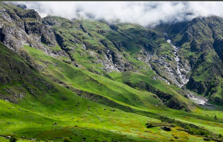 Valley of Flowers National Park