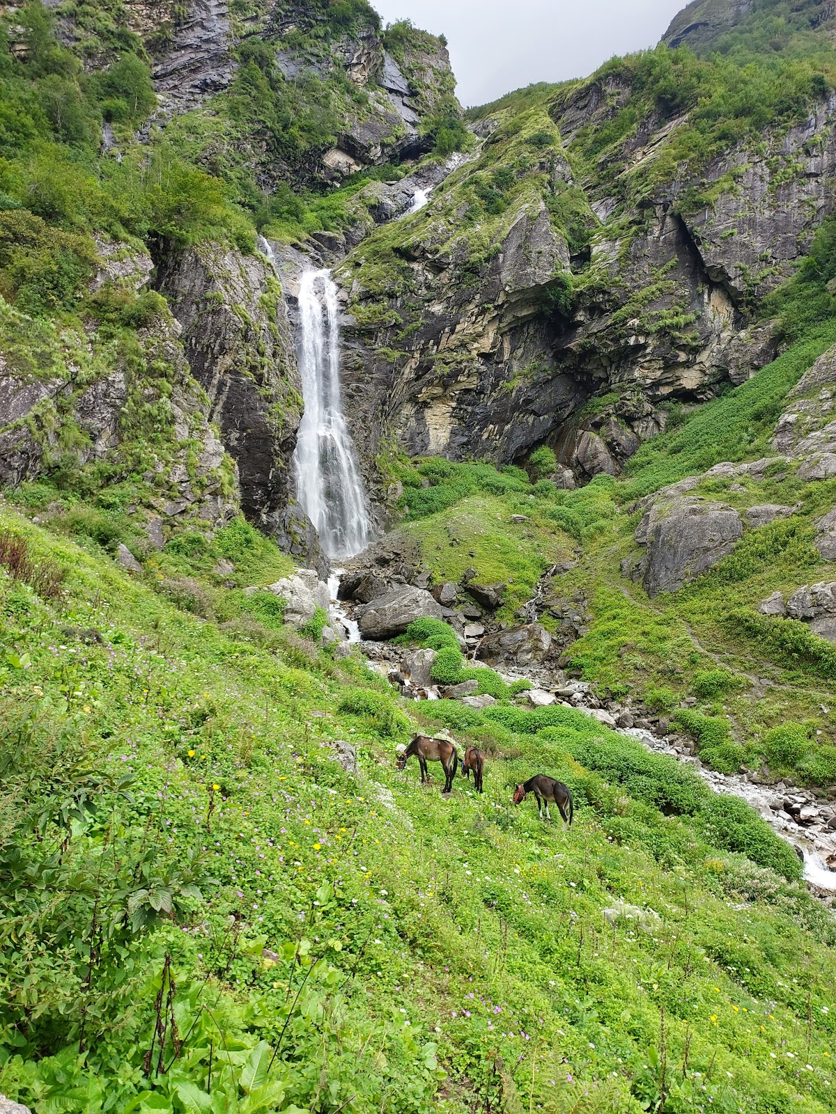 Valley of Flowers National Park