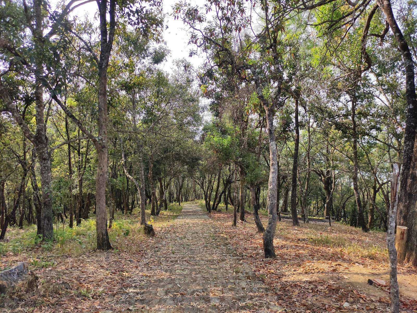 Mizo Heritage Village