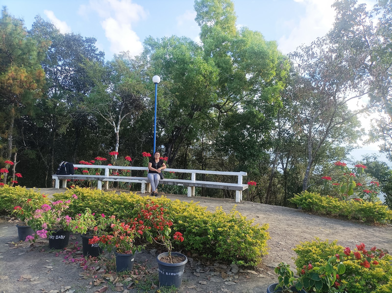 Mizo Heritage Village