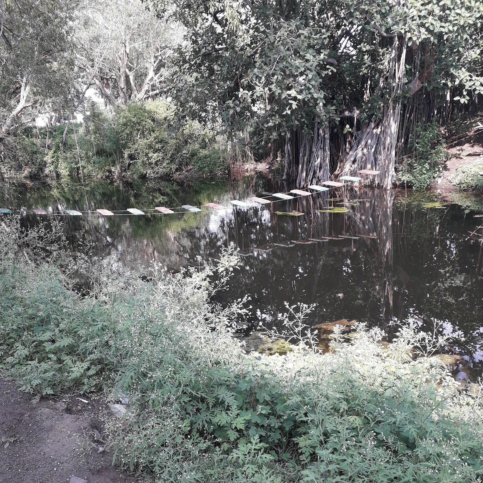 Bileshwar Dam Viewpoint