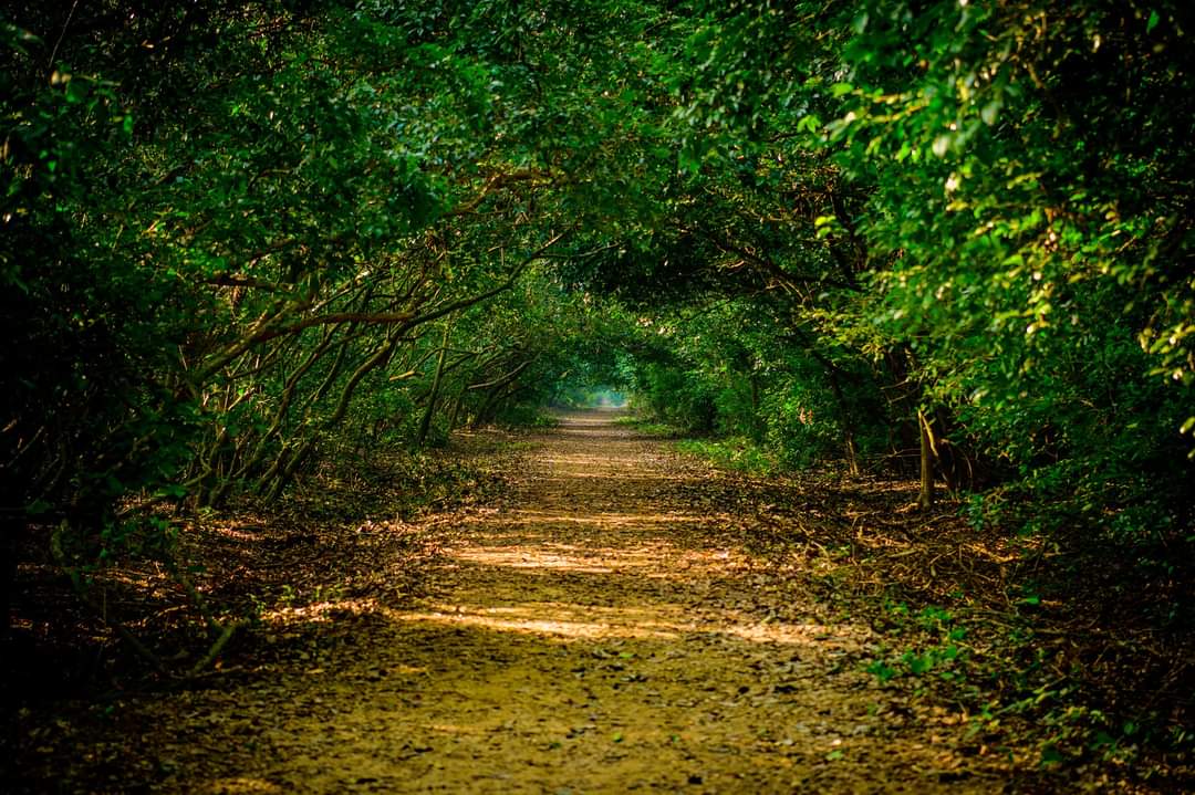 Bhitarkanika National Park