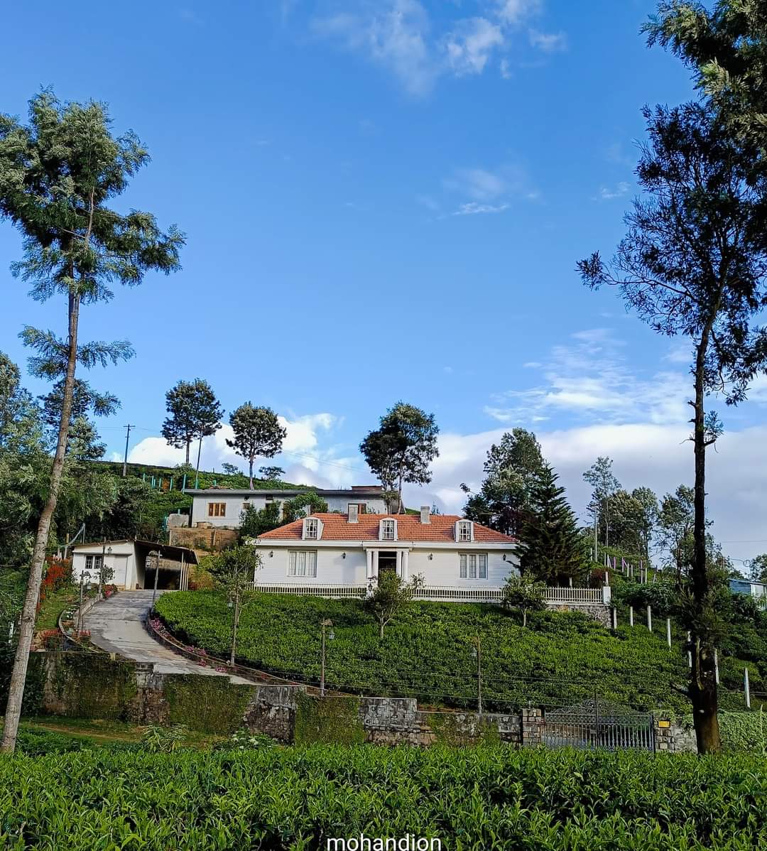 Nilgiri Hills
