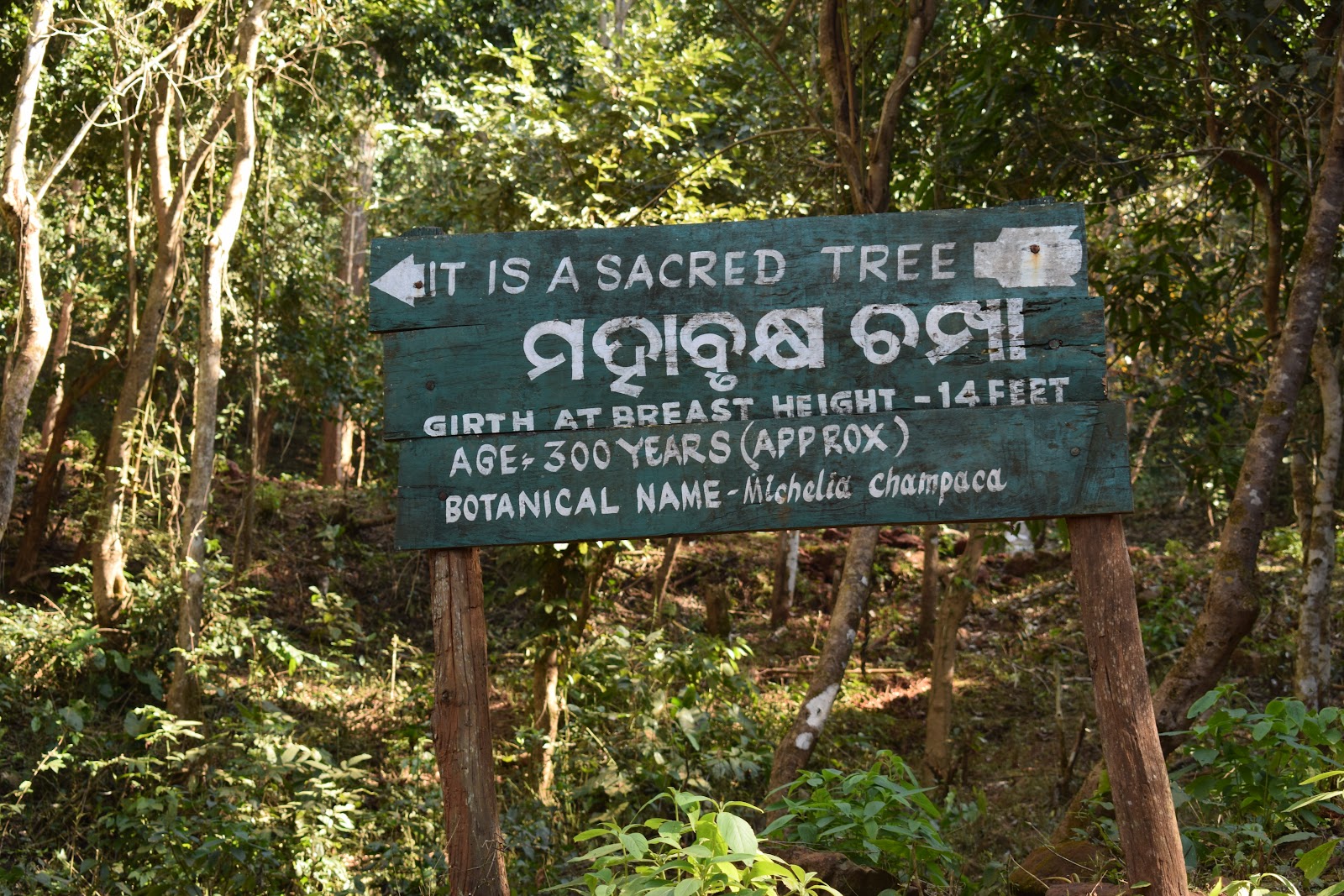 Simlipal National Park