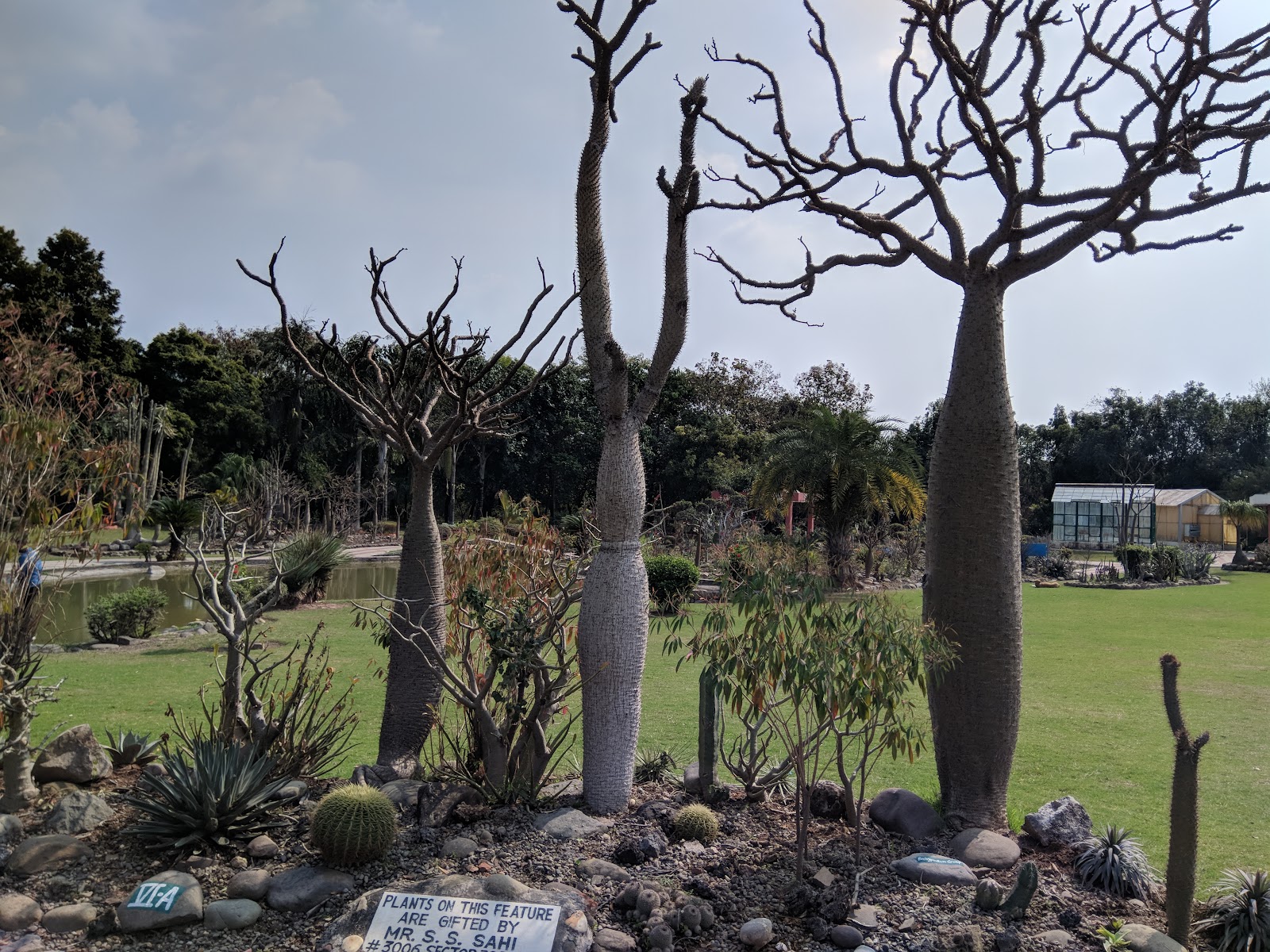 Cactus Garden Panchkula