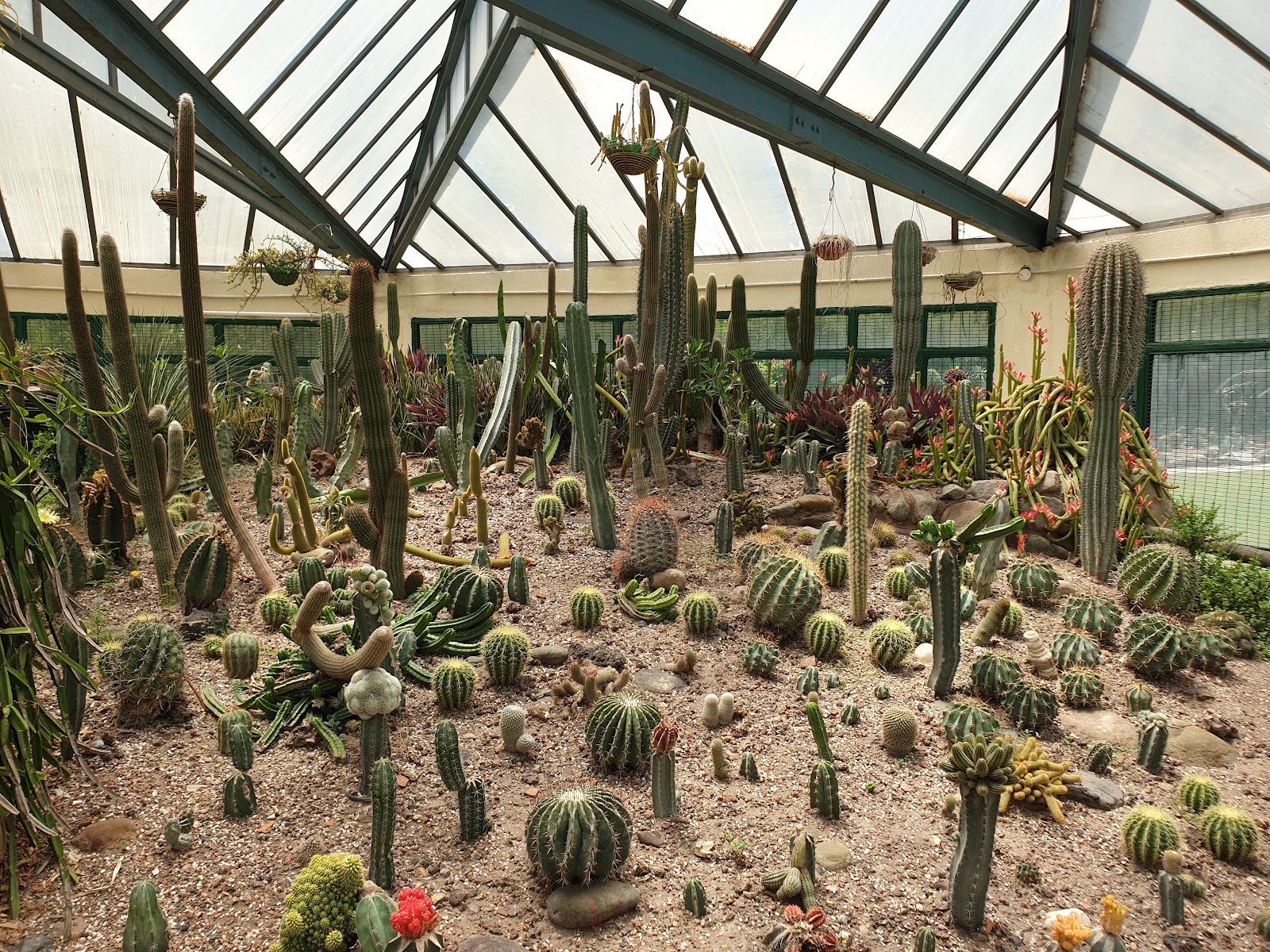 Cactus Garden Panchkula