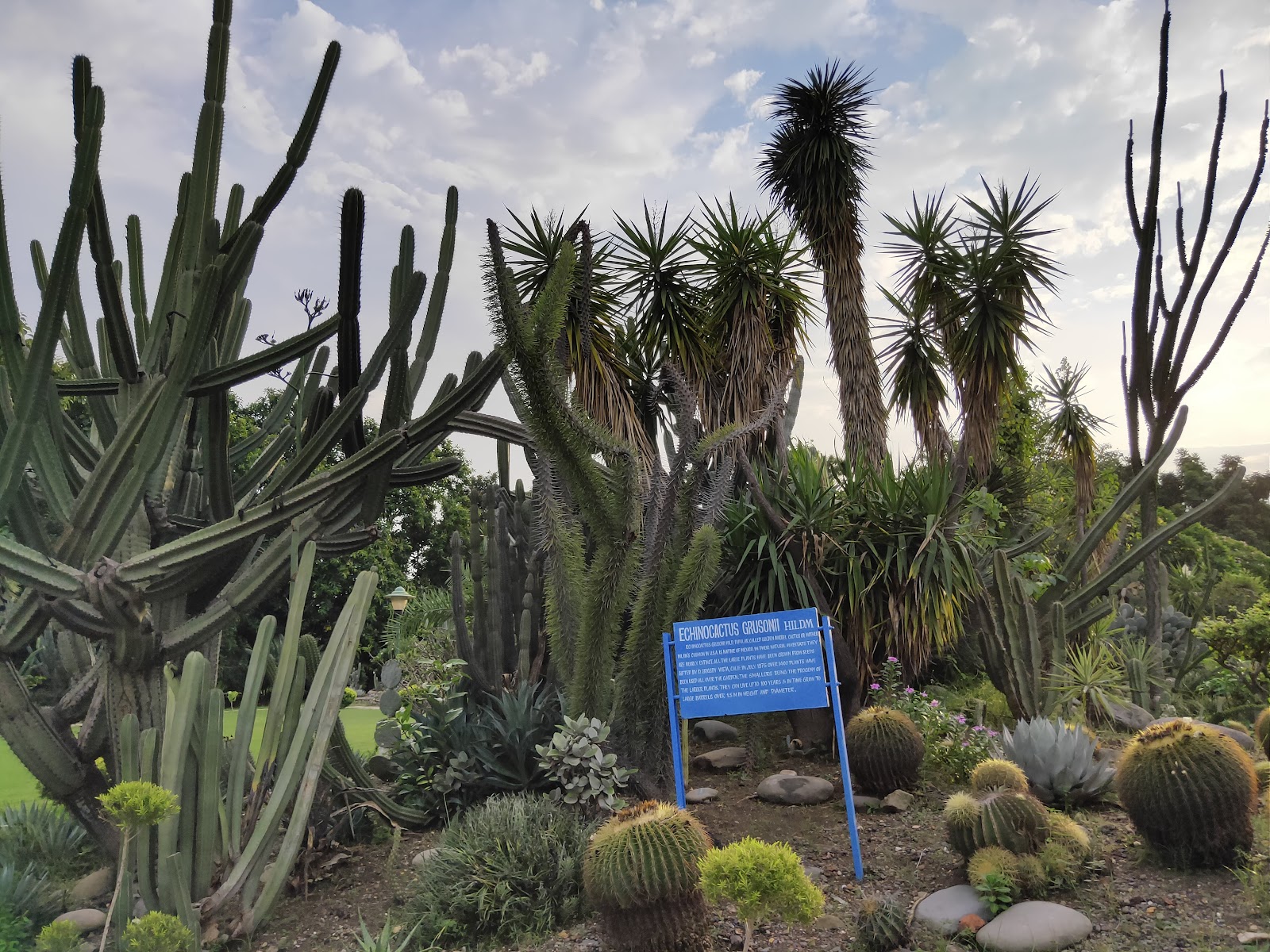 Cactus Garden Panchkula