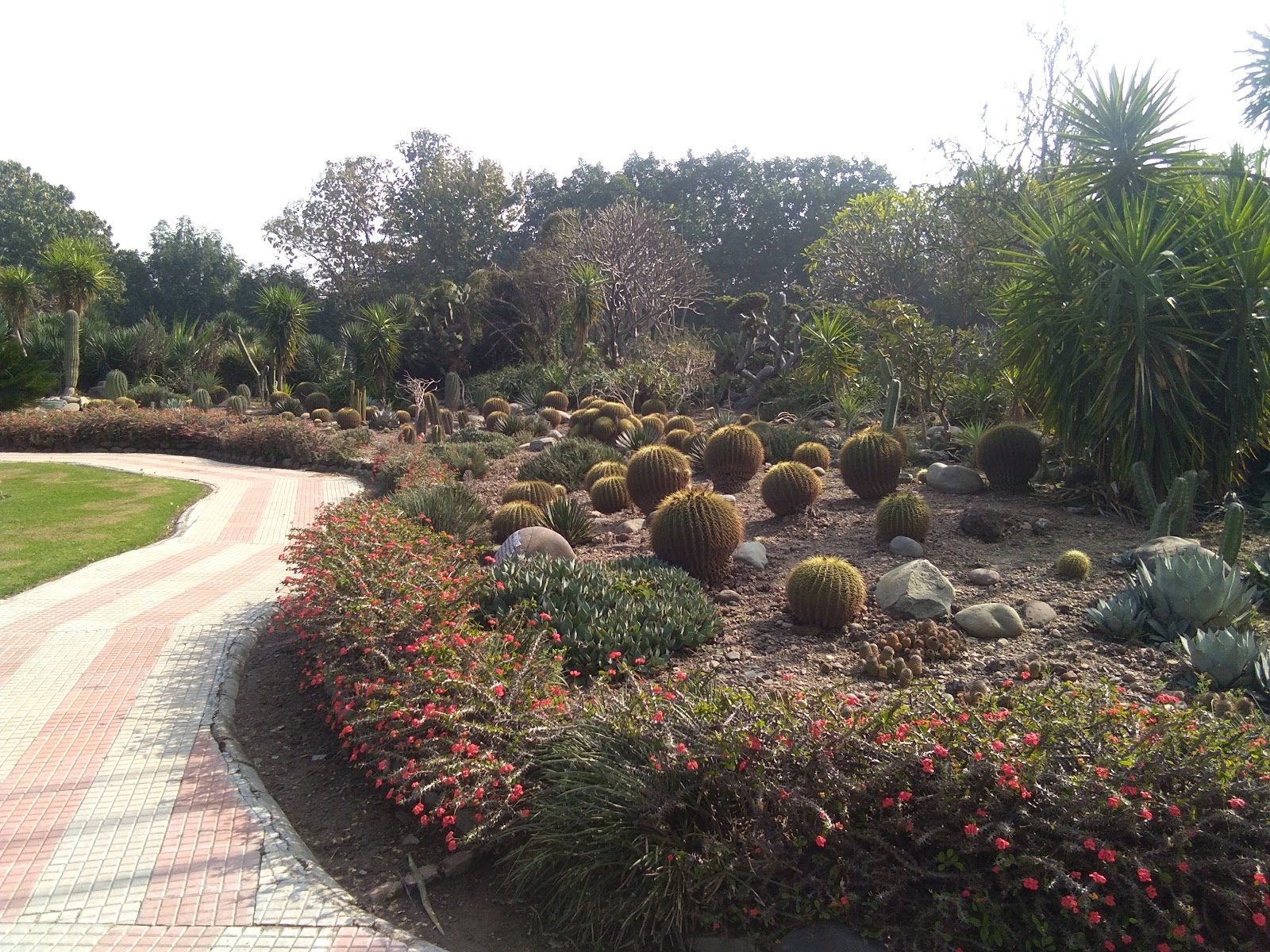 Cactus Garden Panchkula