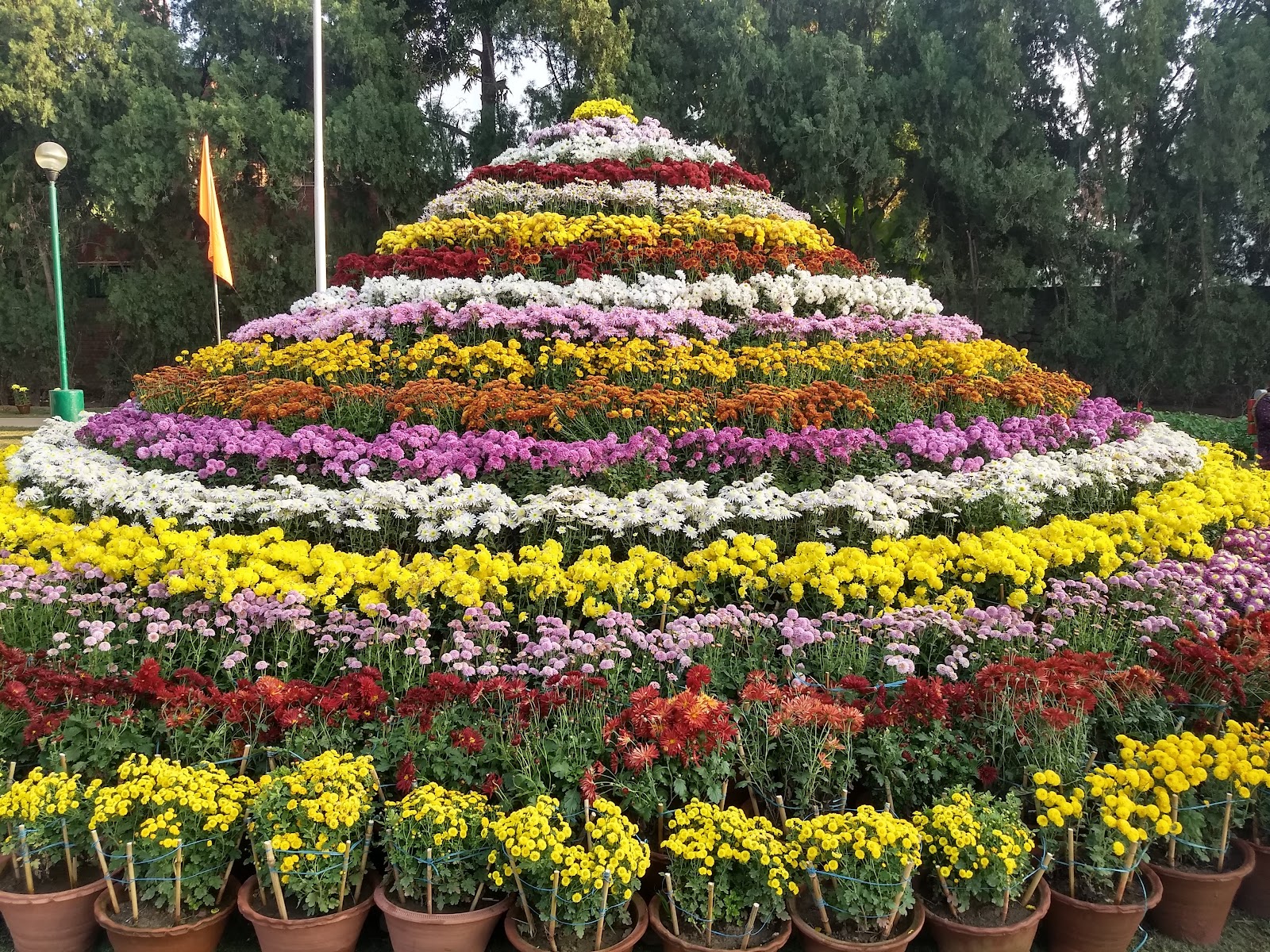 Terraced Garden Sector 33