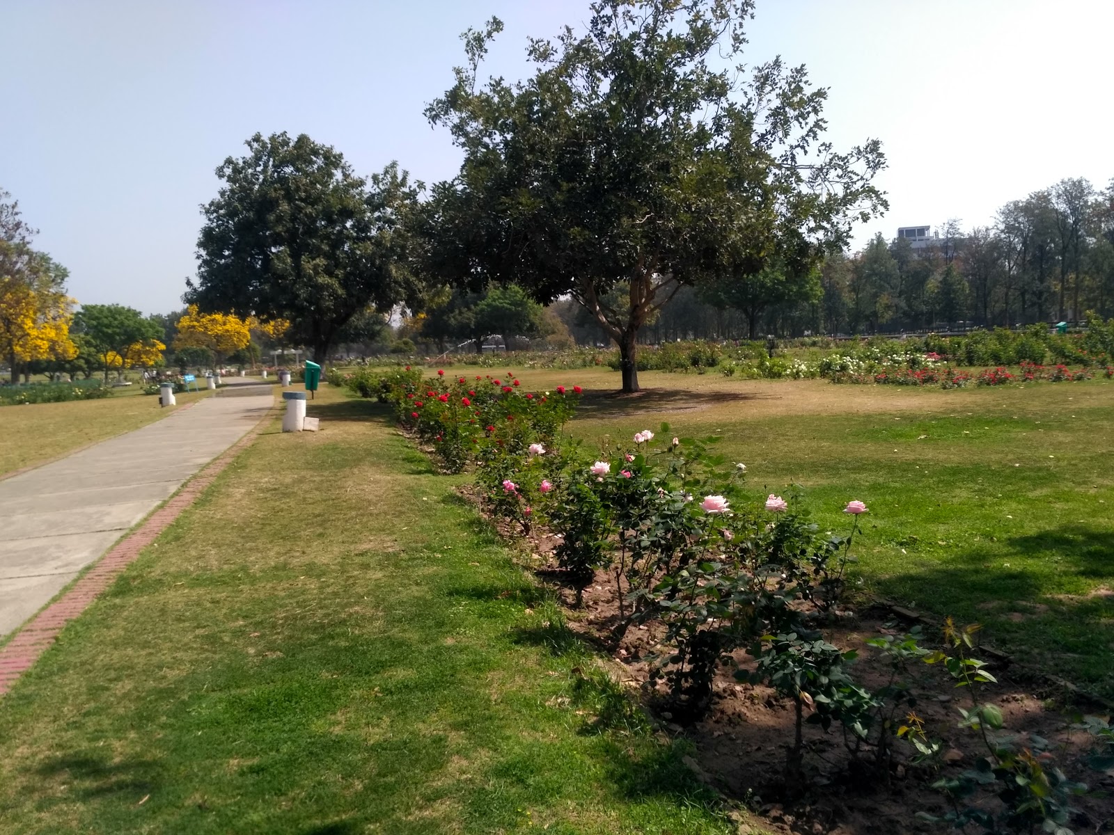Zakir Hussain Rose Garden